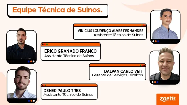 Assistência Técnica como pilar de transformação da Suinocultura Brasileira