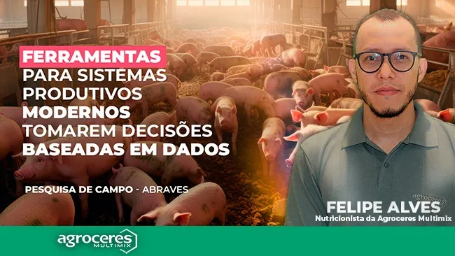 O ciclo virtuoso das decisões baseadas em dados na pesquisa de campo