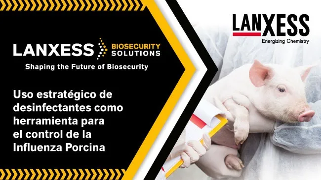 Control de influenza porcina: Eficacia de los desinfectantes