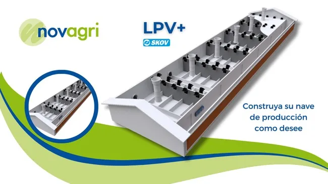 Optimización del clima en granjas porcinas con LPV+ de SKOV