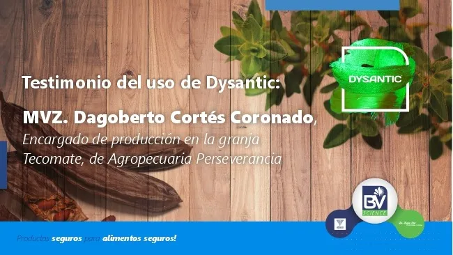 Uso de Dysantic Vetanco en Agropecuaria Perseverancia