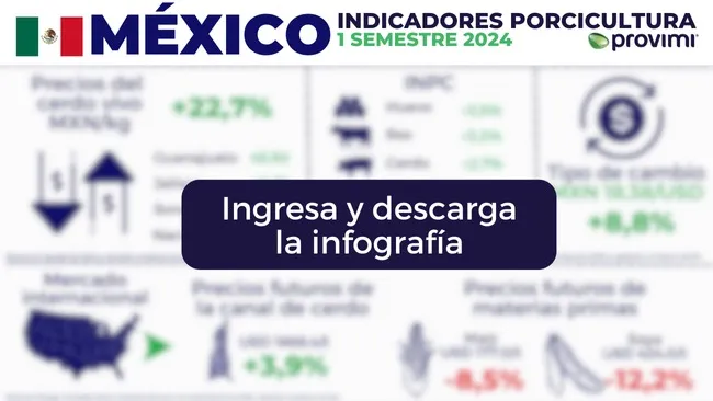 México: indicadores del sector porcicultor en el primer semestre de 2024 