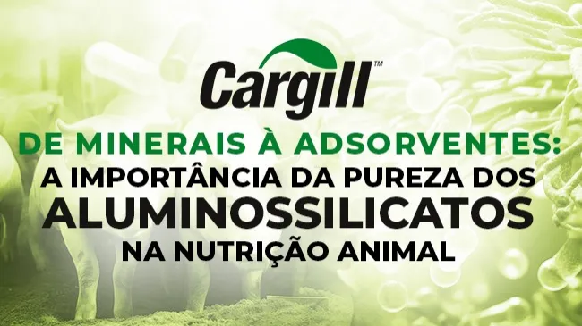 Aluminossilicatos: maior classe de minerais utilizados como aditivos adsorventes