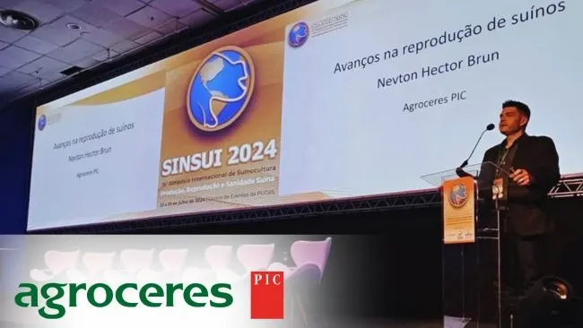 Agroceres PIC discute cenário atual e perspectivas da IA na produção de suínos no SINSUI   