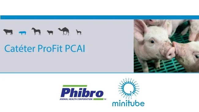 Catéter ProFit PCAI