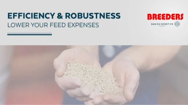 EFFICIENCY & ROBUSTNESS