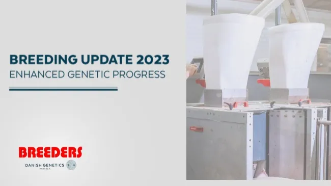 BREEDING UPDATE 2023