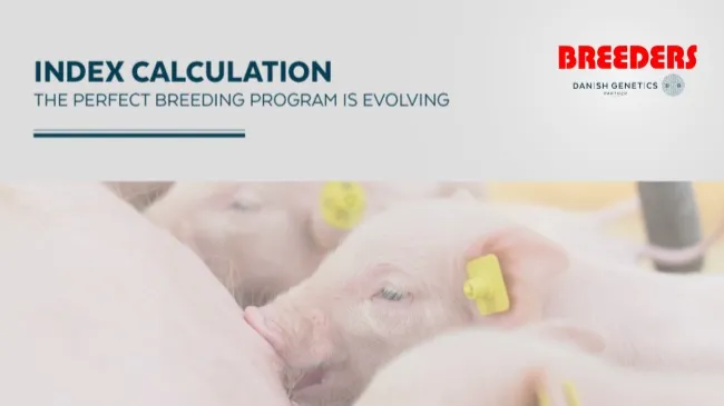 INDEX CALCULATION
