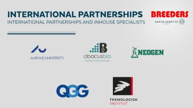 INTERNATIONAL PARTNERSHIPS