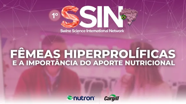 Entrevista com professor Geraldo Alberton durante o SSIN