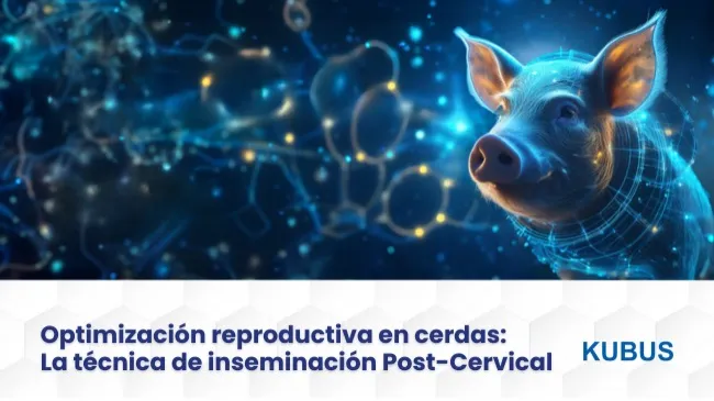 Inseminación post-cervical en cerdas: un enfoque moderno para la eficiencia reproductiva