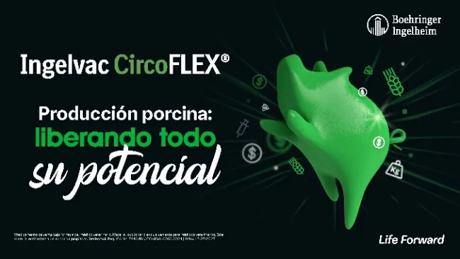Ingelvac CircoFLEX®: Productividad liberada