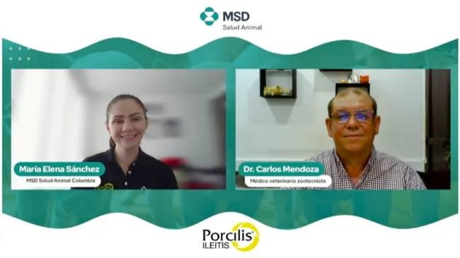 [Cápsula 1] Estrategias de control para Lawsonia Intracellularis en la producción porcina