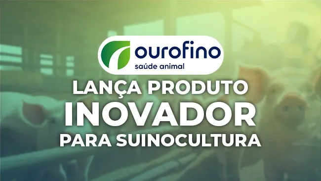 Chega ao mercado a 1ª vacina do mundo de dose única contra a doença de Glässer