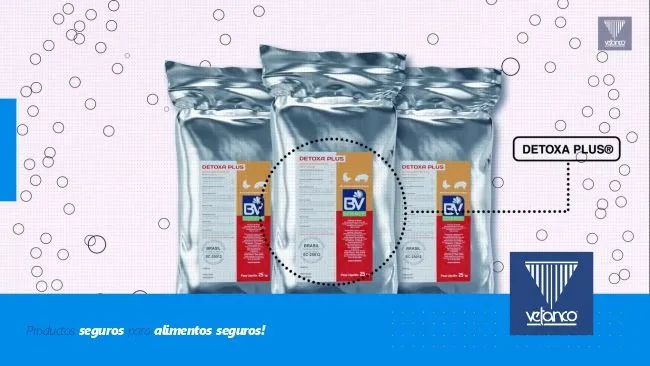 Inactivador de micotoxinas - Detoxa Plus