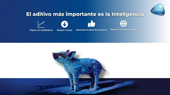 Un mundo de posibilidades para la nutrición y la salud para cerdos