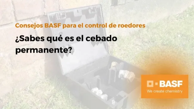 ¿Sabes qué es el cebado permanente?