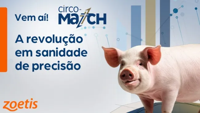 Surge um importante aliado na batalha contra o vírus PCV2