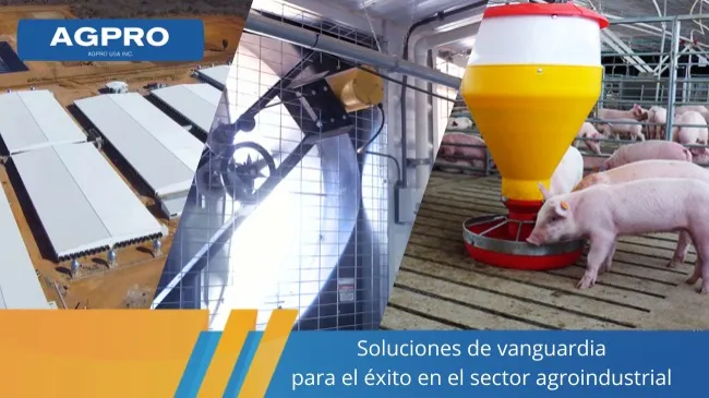 AGPRO: líder en innovación y eficiencia en la producción porcina