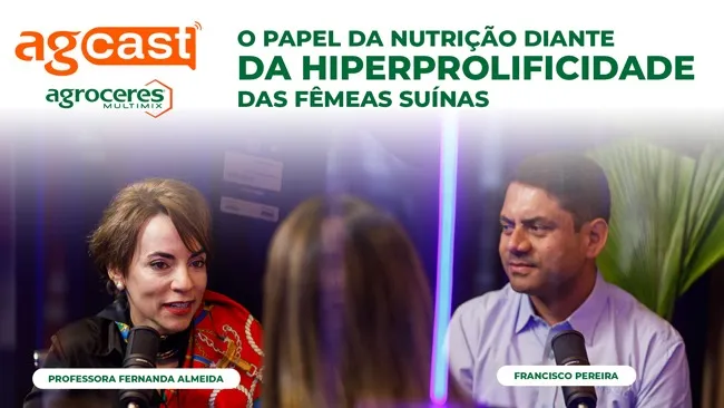 Desafios e oportunidades na fase de gestação na suinocultura
