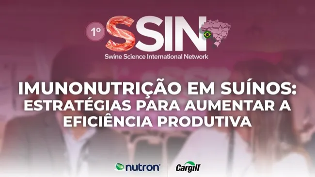 Entrevista com Paulo Campos durante o SSIN