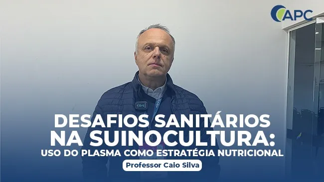 Benefícios do plasma na saúde precoce dos suínos