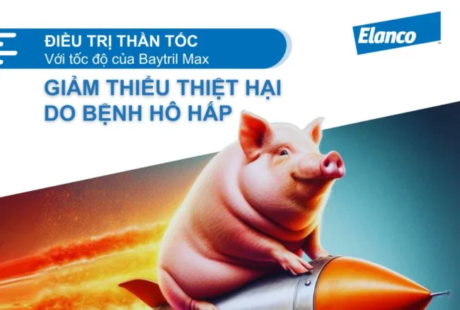 GIẢM THIỂU THIỆT HẠI DO BỆNH HÔ HẤP
