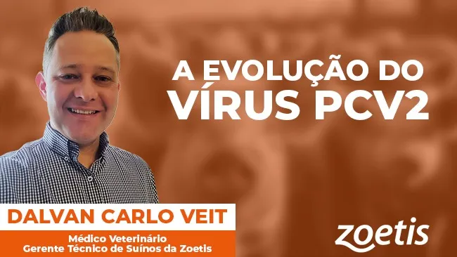 Circovírus Suíno Tipo 2: complexidade e implicações na produção suína