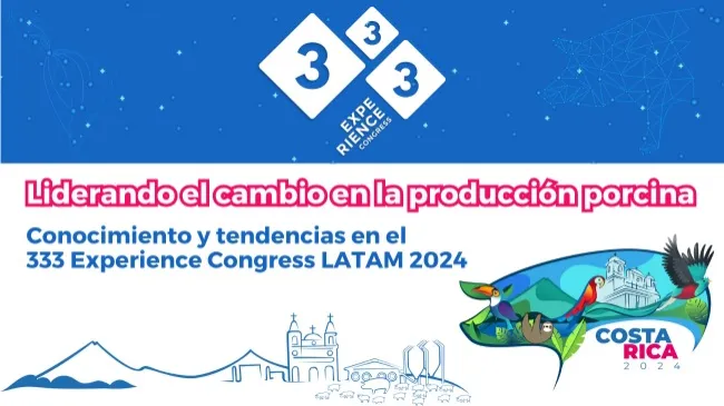 333 Experience Congress Latam 2024: una agenda estratégica para transformar la porcicultura en Latinoamérica