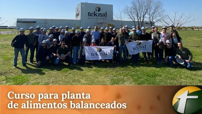 Formación para plantas de nutrición porcina