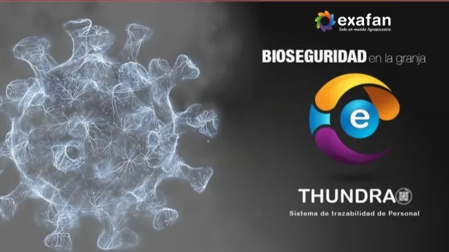 Thundra: revolucionando la gestión de granjas con tecnología de punta