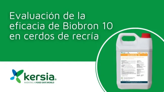 Evaluación de la eficacia de Biobron 10 en cerdos de recría
