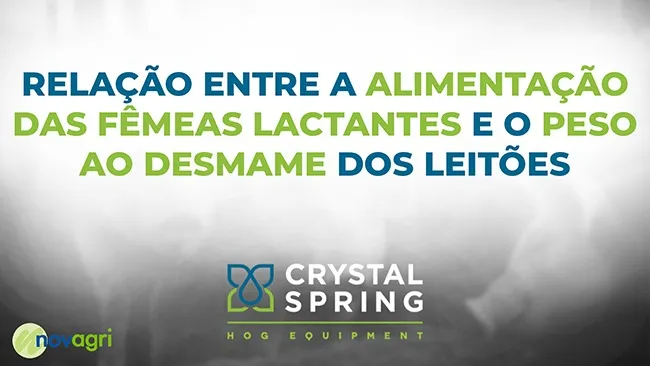 Quais são as estratégias para otimizar o consumo de fêmeas lactantes?