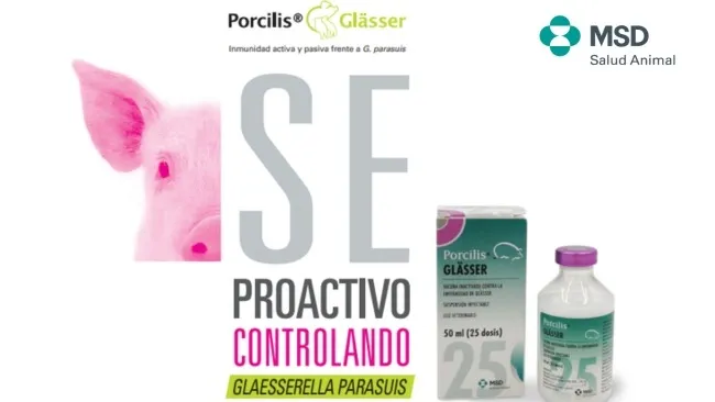 La solución eficaz a la infección por Glaesserella parasuis