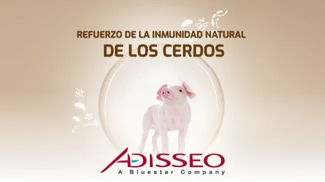 Garantiza el máximo rendimiento mediante el refuerzo de la inmunidad natural de los cerdos
