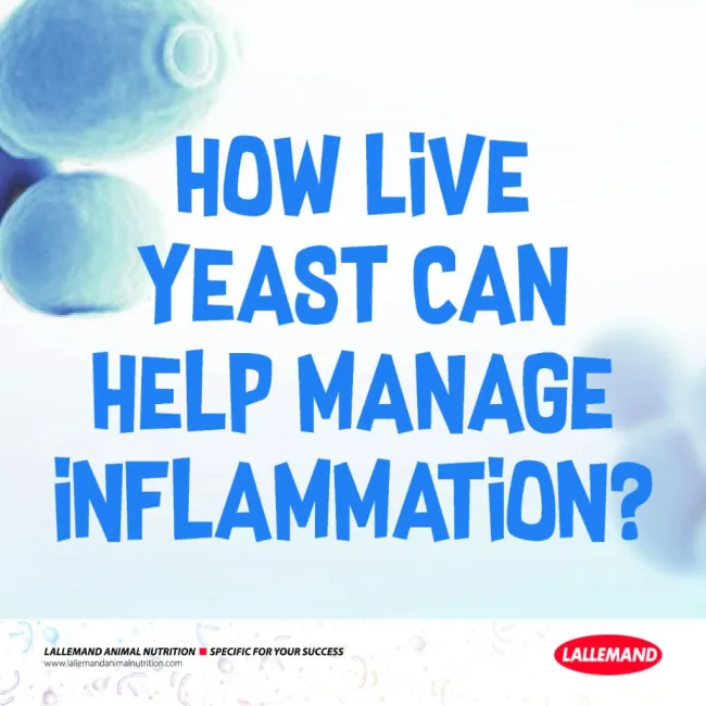 Manage inflammation and increase production, efficiency, and resilienc...