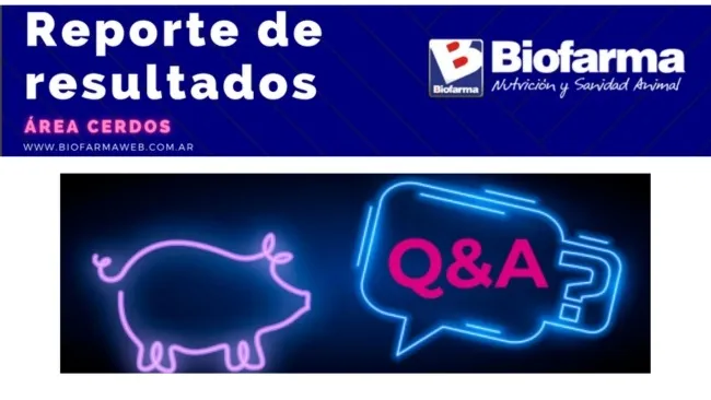 ¿Cuál es el impacto de la densidad animal y de la disponibilidad de comederos en la etapa de recría?