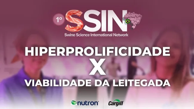 Entrevista com a professora Fernanda Almeida durante o SSIN