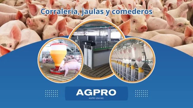 Soluciones integrales para la producción porcina con AGPRO