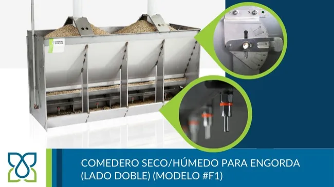 Comederos seco/húmedo para optimizar la producción porcina