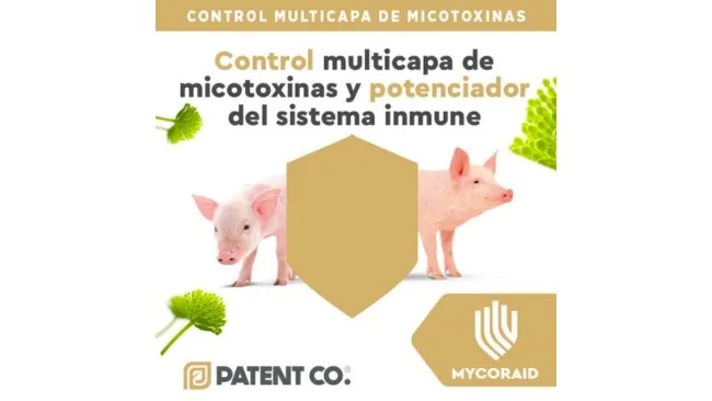 Mycoraid: control multicapa de micotoxinas