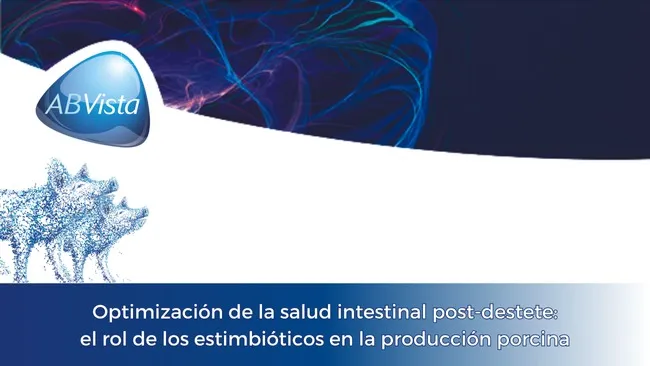Estrategias en la reducción de diarreas post-destete en lechones