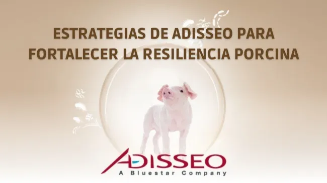 Fortaleciendo la barrera intestinal como primera línea de defensa