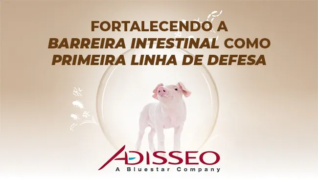 Soluções personalizadas para os desafios da suinocultura moderna