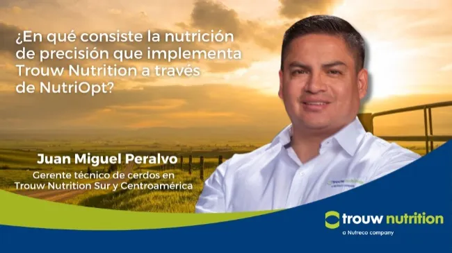 NutriOpt: Herramienta global para evaluar la calidad nutricional en la producción porcina