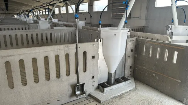 Instalación de nuestro Bebedero A26 y Tolvas B1 en una nave de engorde.