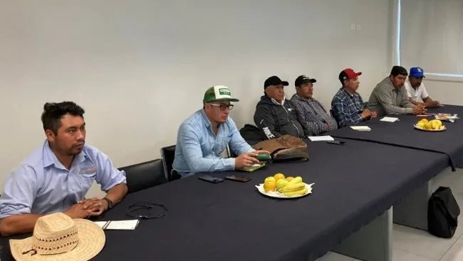 Lanza Granjas Carroll iniciativa de control biológico con Crisopas