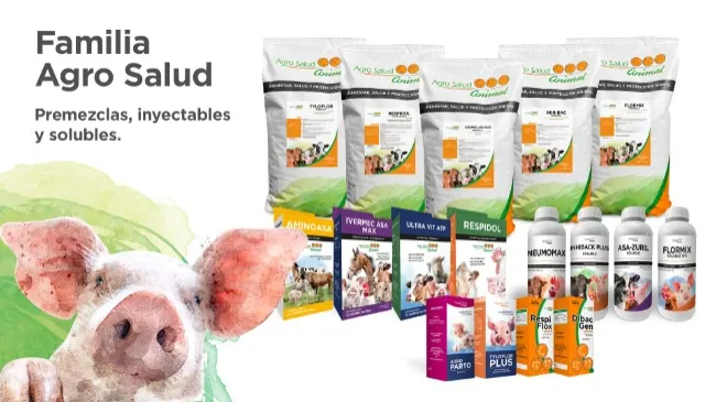 Descubre nuestras líneas de productos especializados para la salud de cerdos