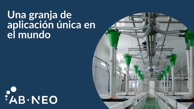 Innovación en la nutrición porcina: AB Neo y su Centro de Excelencia