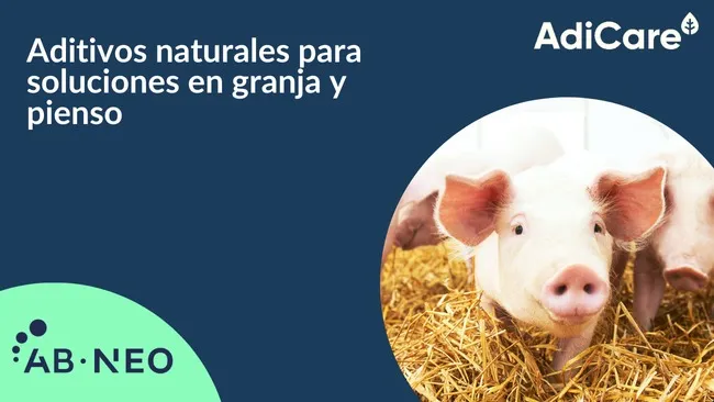 Optimiza la nutrición porcina con la línea AdiCare de AB Neo